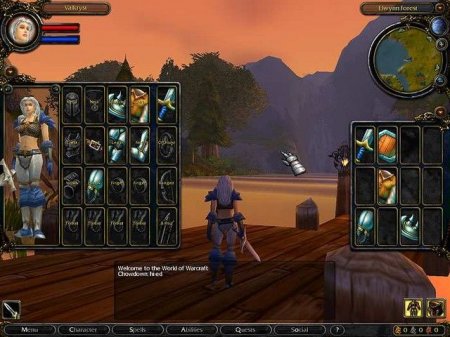  World of Warcraft  5 !